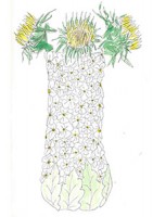 http://www.francesleeceramics.com/files/gimgs/th-10_Home flowers-sunflowers-web.jpg
